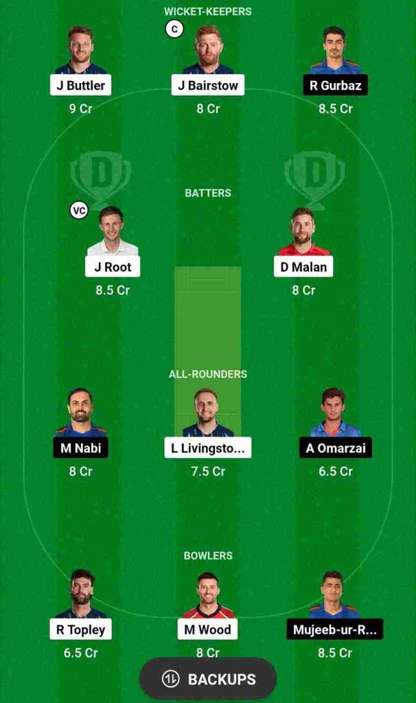 ENG vs AFG Dream11 Prediction 13th Match World Cup 2023 | England vs Afghanistan Dream11 Team, Arun Jaitley Cricket Stadium Pitch Report