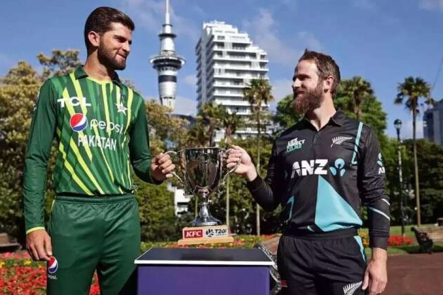 PAK vs NZ: Head-to-Head record, Live streaming details, Pitch report, Weather report and Playing 11