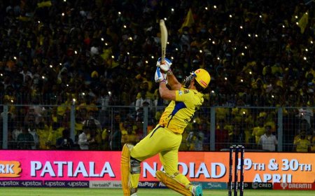 CSK's terrific domination and fanbase in Kolkata