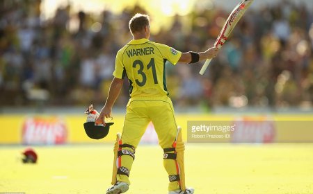 David Warner's iconic 178 in World Cup 2015