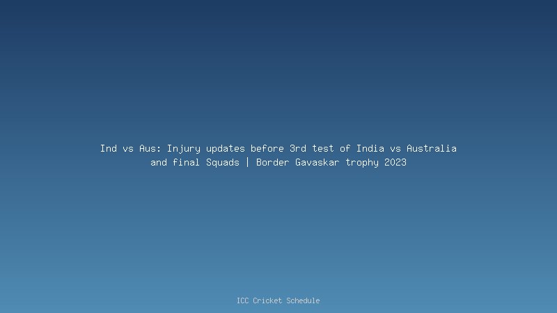 Ind vs Aus: David Warner ruled out of the 2nd Test with concussion, Matt Renshaw to replace him.